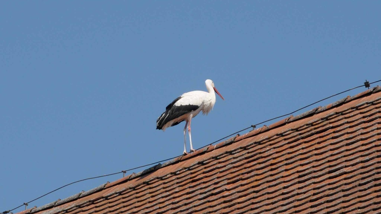 Photo of Outdoor in Merkendorf