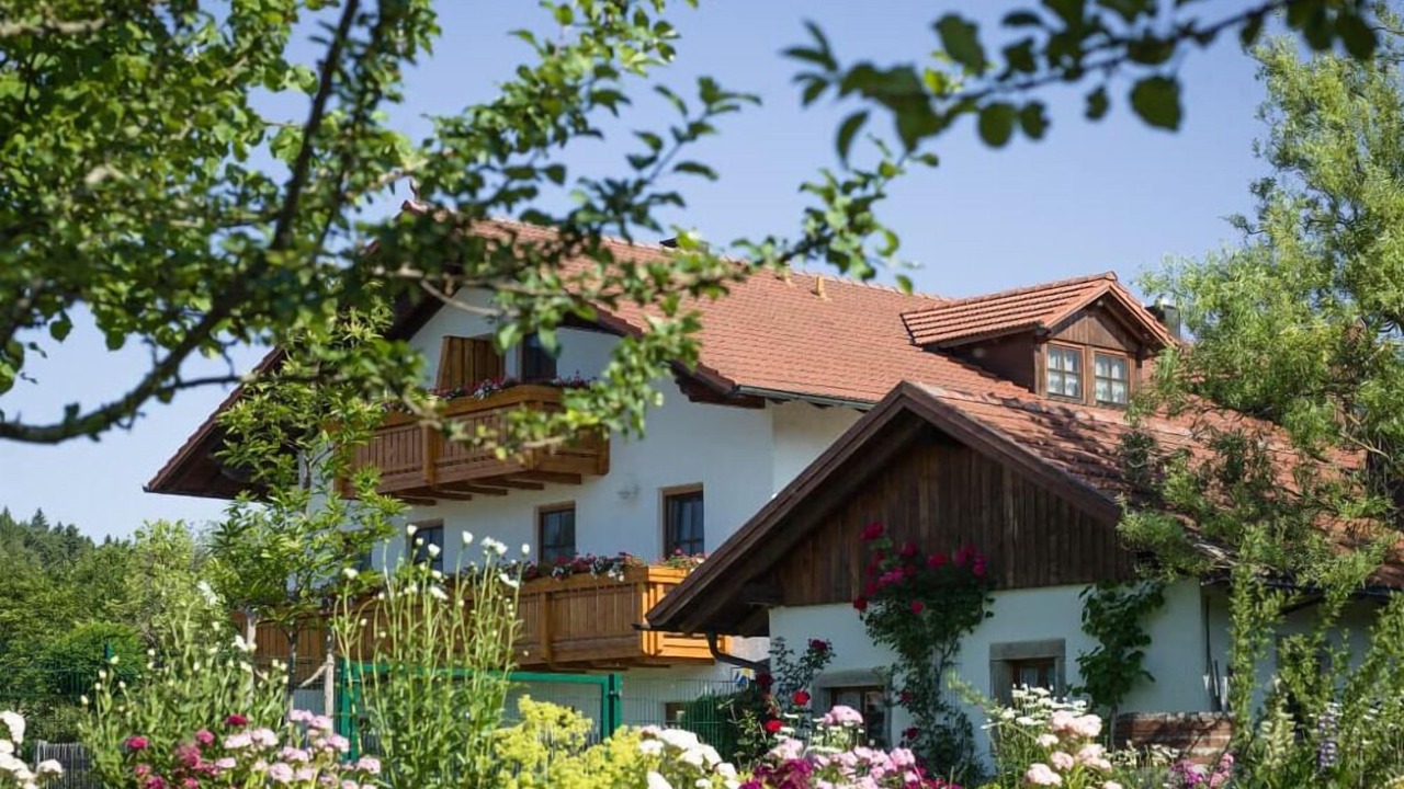 Photo of Outdoor in Sonnen