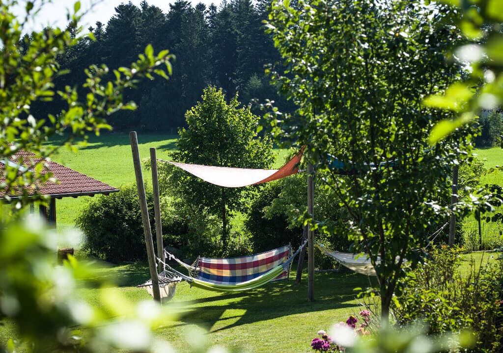 Photo of Outdoor in Sonnen