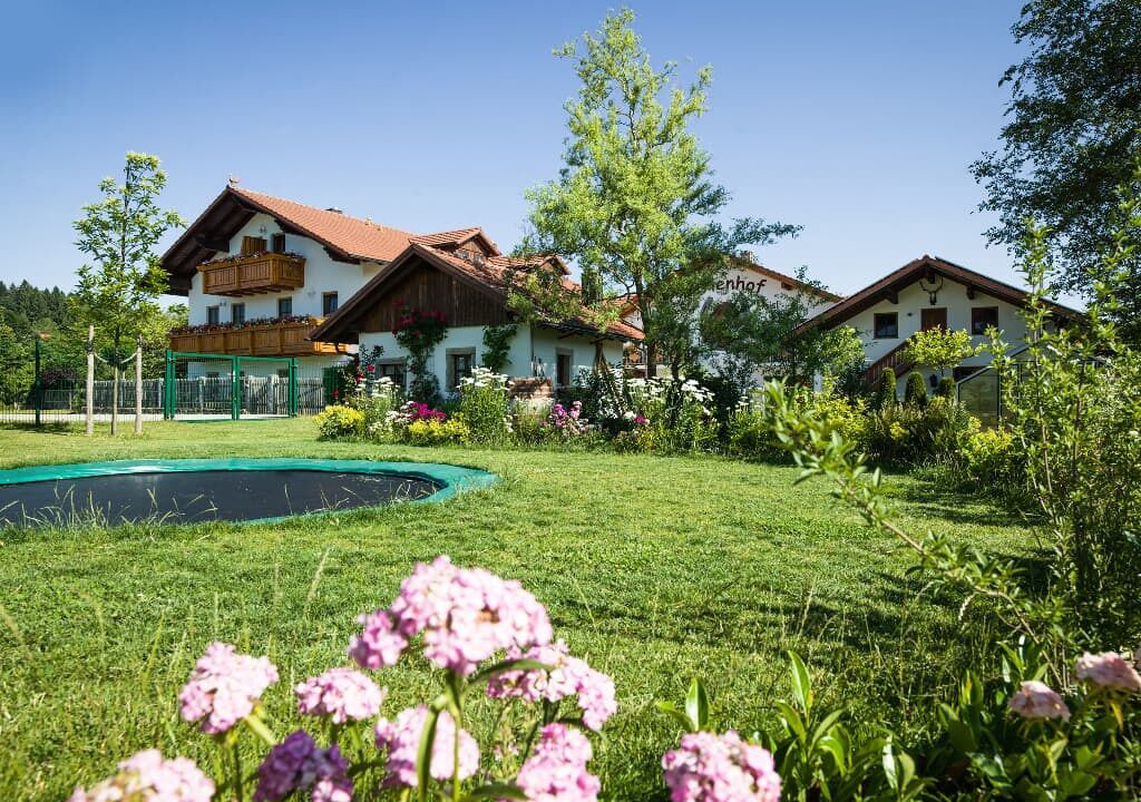 Photo of Outdoor in Sonnen