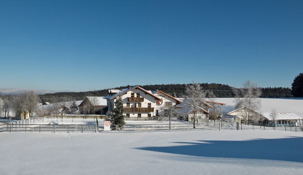 Photo of Outdoor in Sonnen