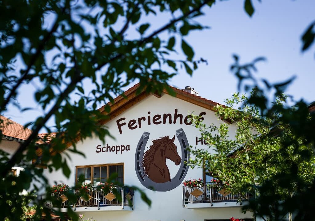 Photo of Outdoor in Sonnen