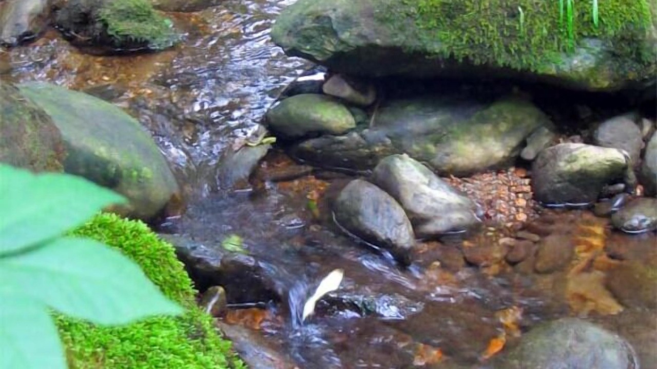 Photo of Outdoor in Lam