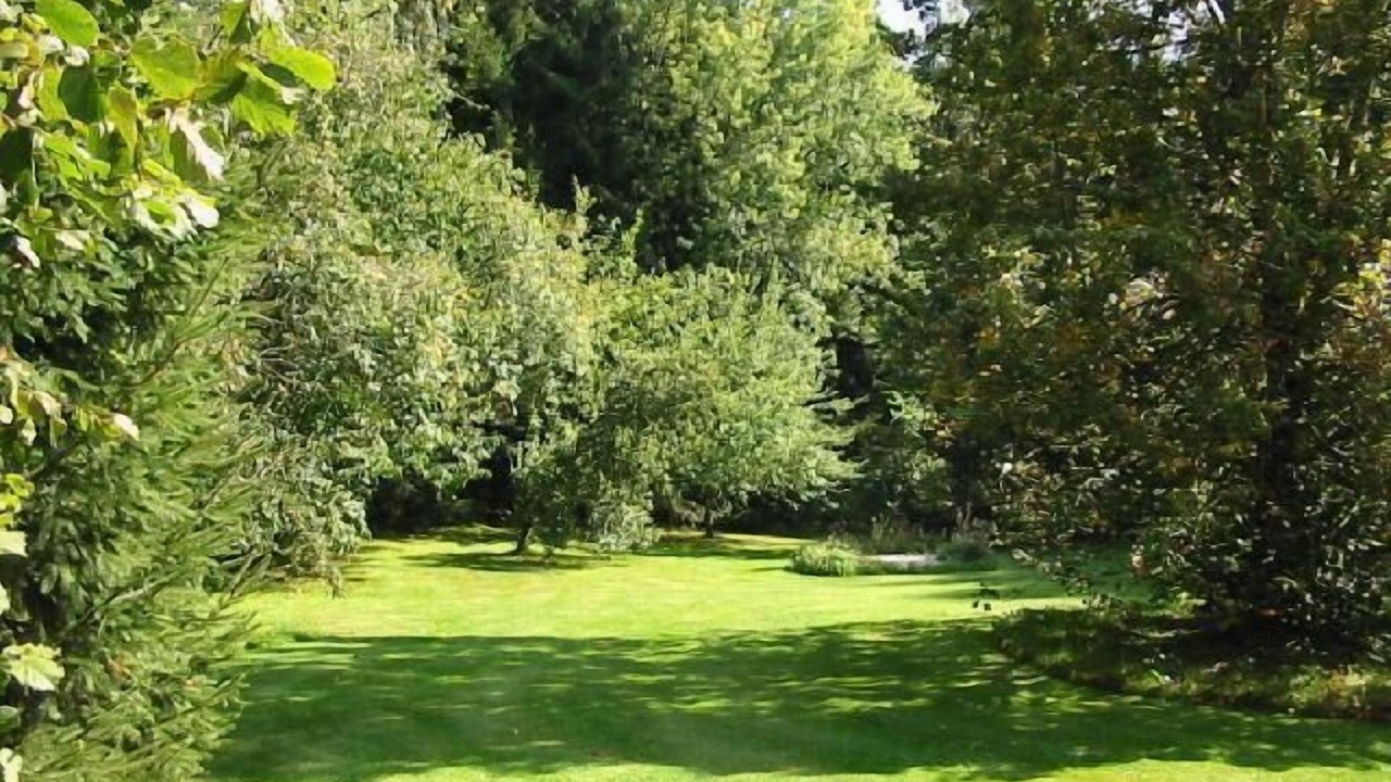 Photo of Outdoor in Großarmschlag