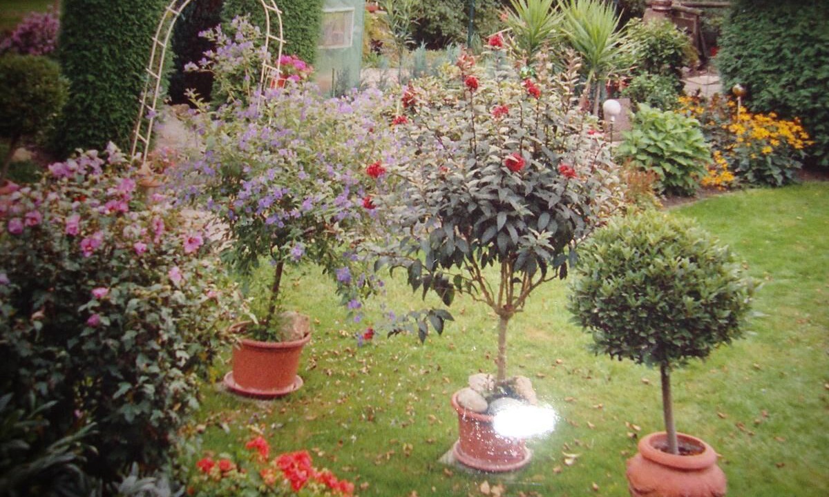 Photo of Outdoor in Wurding