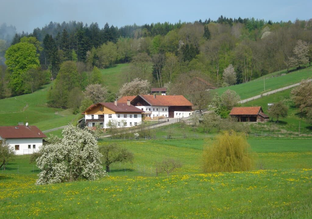 Photo of Outdoor in Bad Griesbach im Rottal