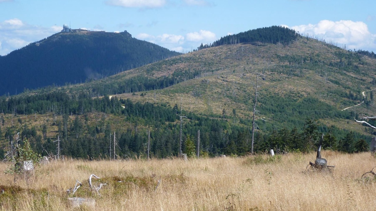 Photo of Others in Rimbach