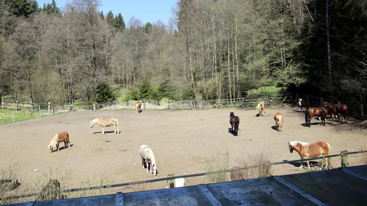 Photo of Others in Weissenstadt
