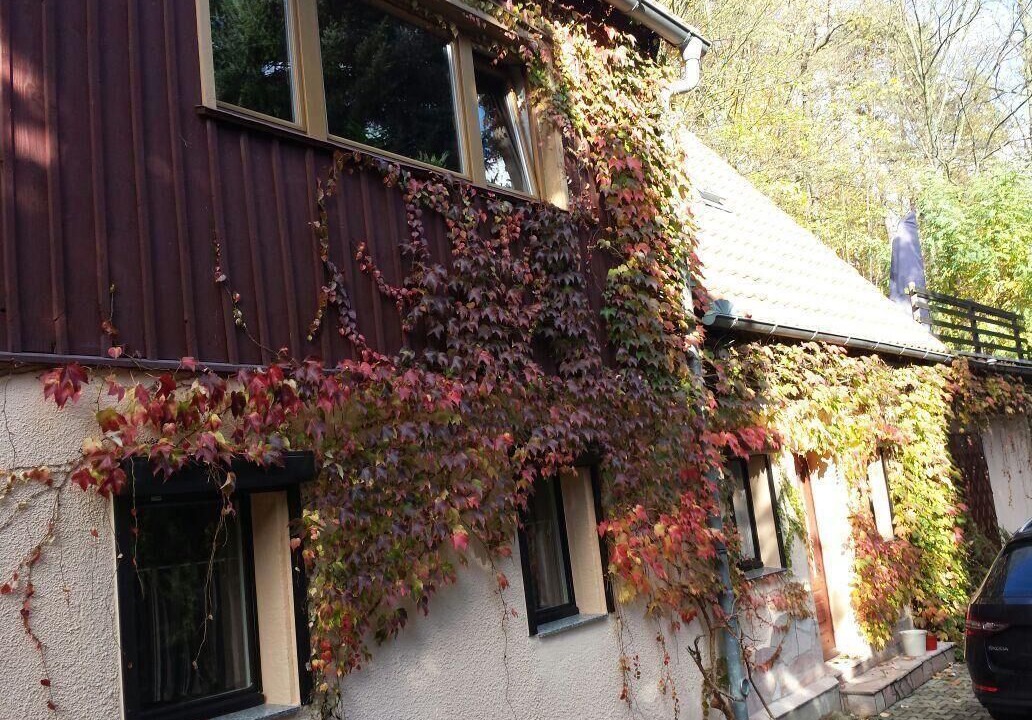 Photo of Outdoor in Berggieshubel