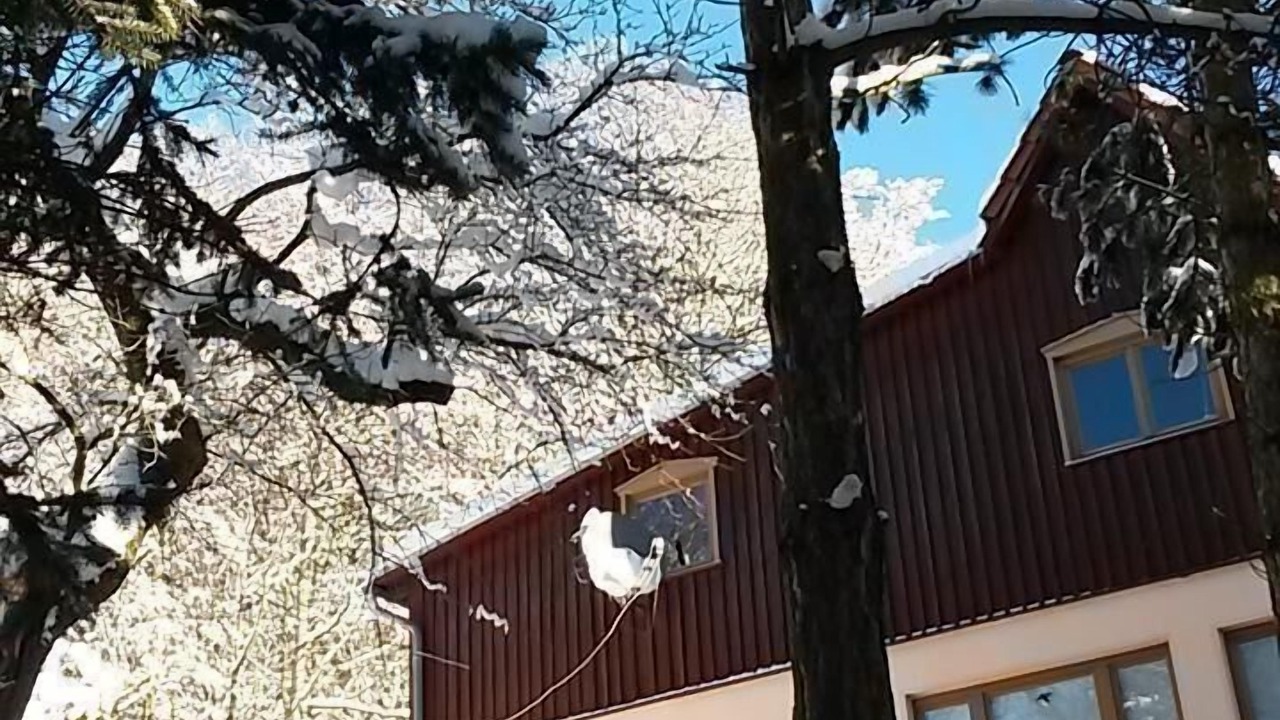 Photo of Outdoor in Berggieshubel