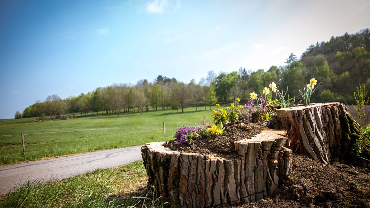 Photo of Outdoor in Markt Nordheim