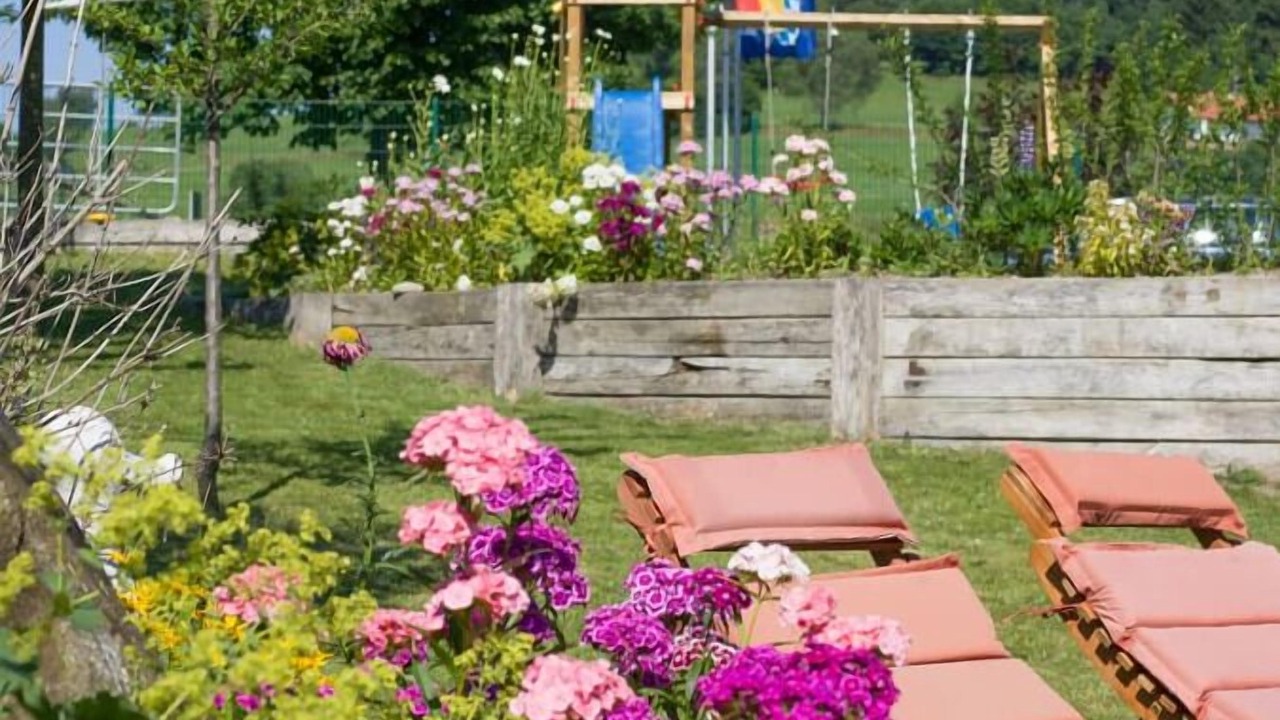 Photo of Outdoor in Sonnen