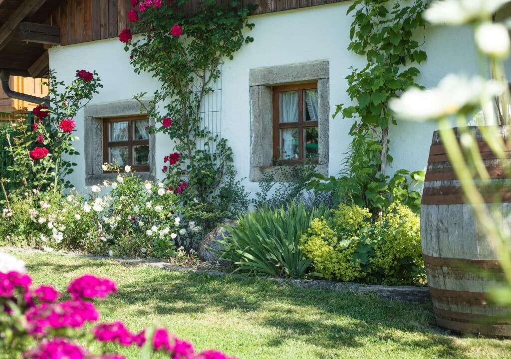 Photo of Outdoor in Sonnen