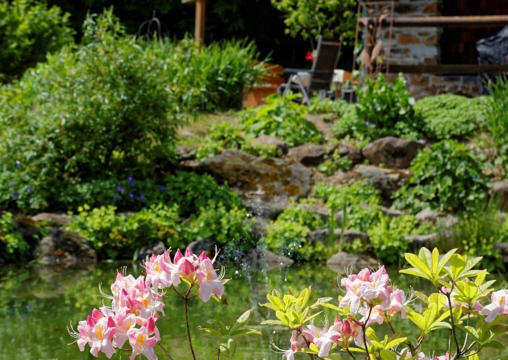 Photo of Outdoor in Spiegelau