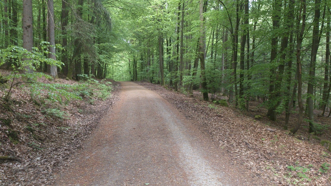 Photo of Outdoor in Frammersbach