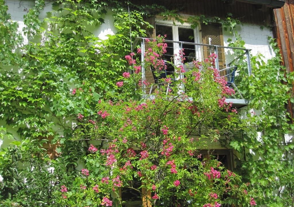 Photo of Outdoor in Schwandorf