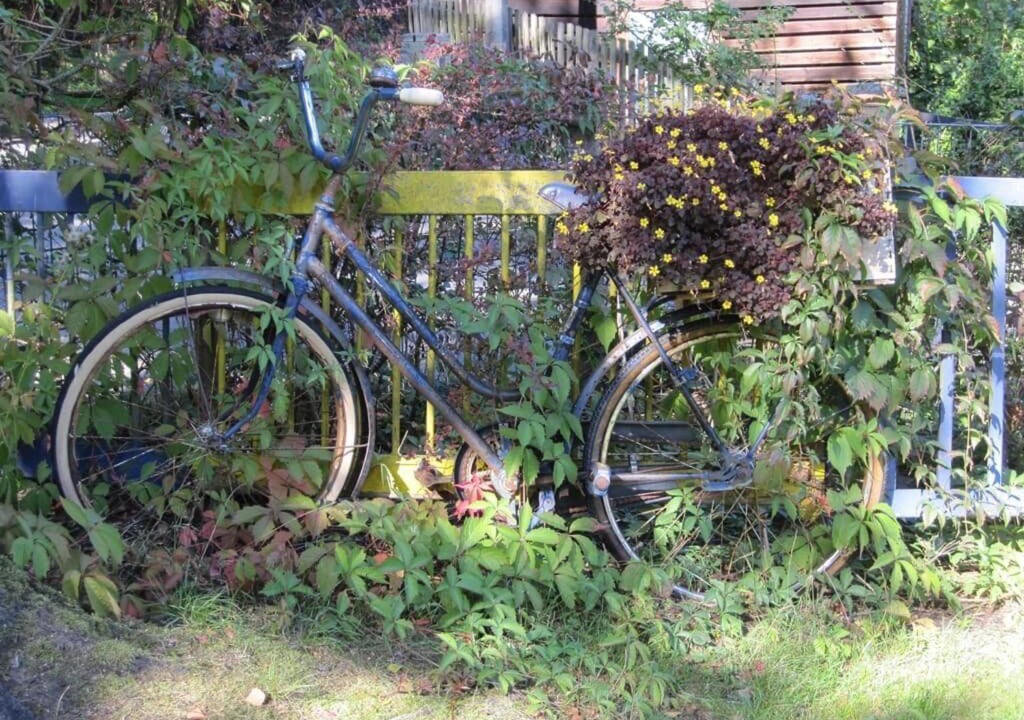 Photo of Outdoor in Schwandorf
