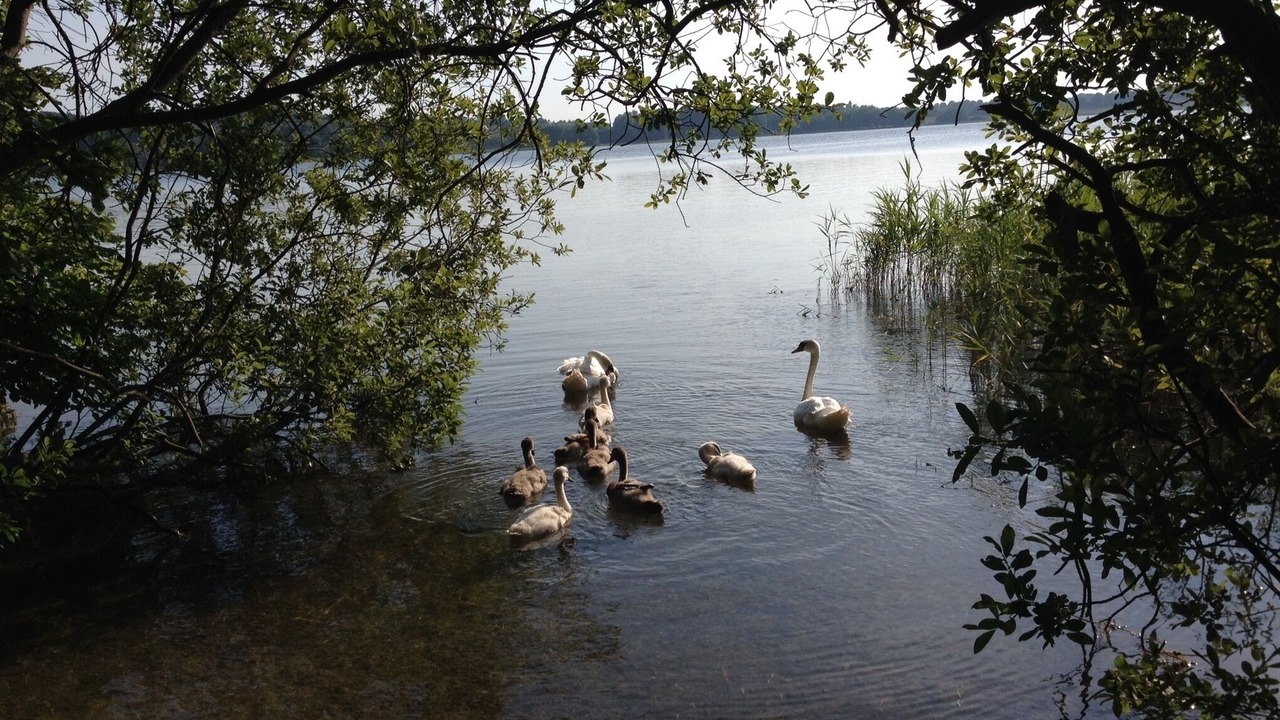 Photo of Outdoor in Klingberg