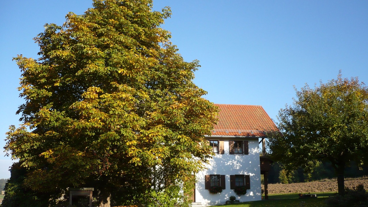 Photo of Outdoor in Tiefenbach
