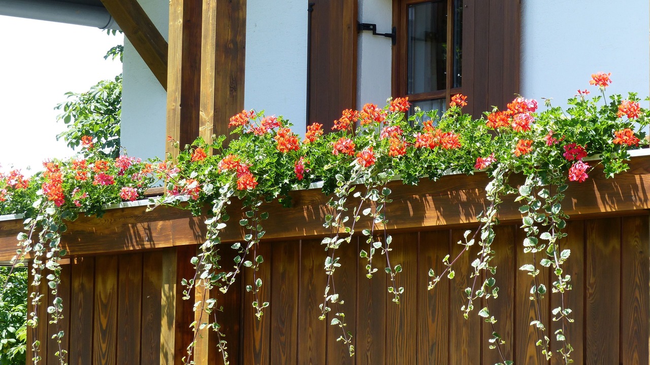 Photo of Outdoor in Tiefenbach