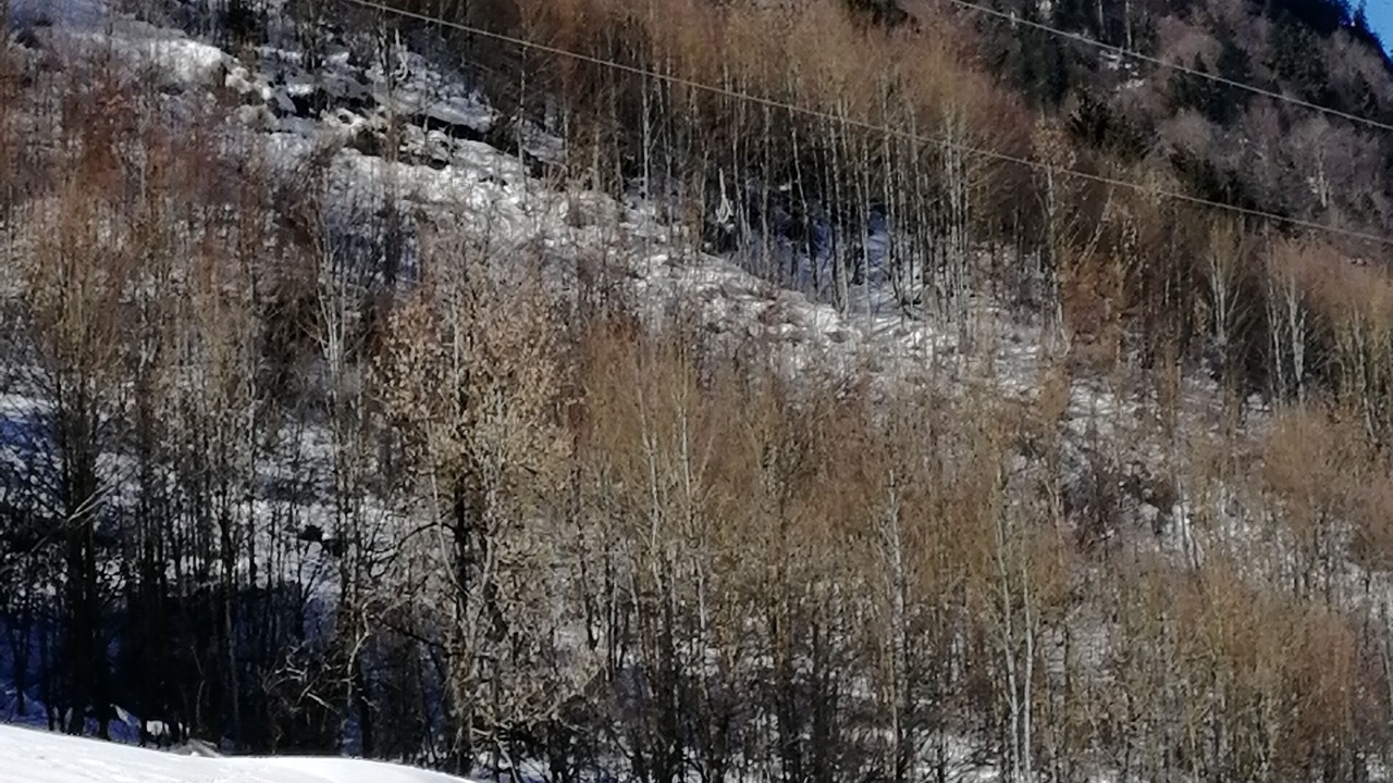 Photo of Others in Immenstadt im Allgaeu