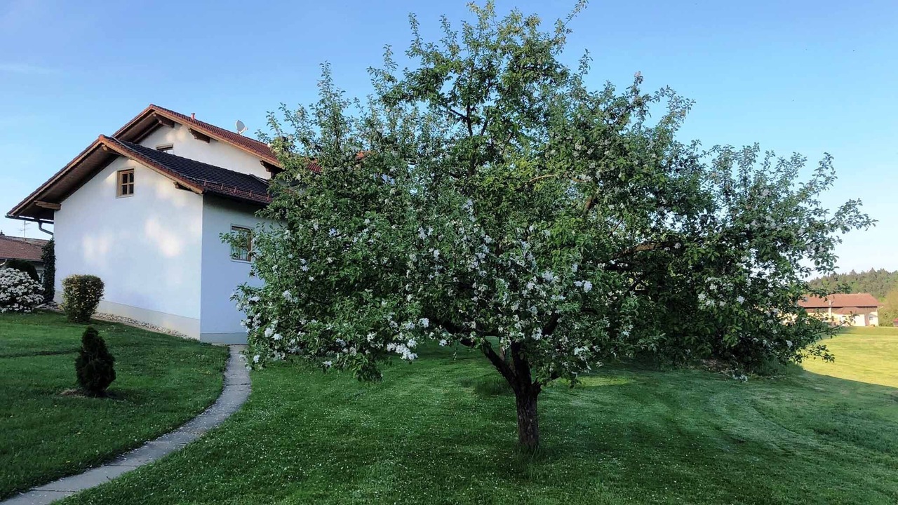 Photo of Outdoor in Windorf