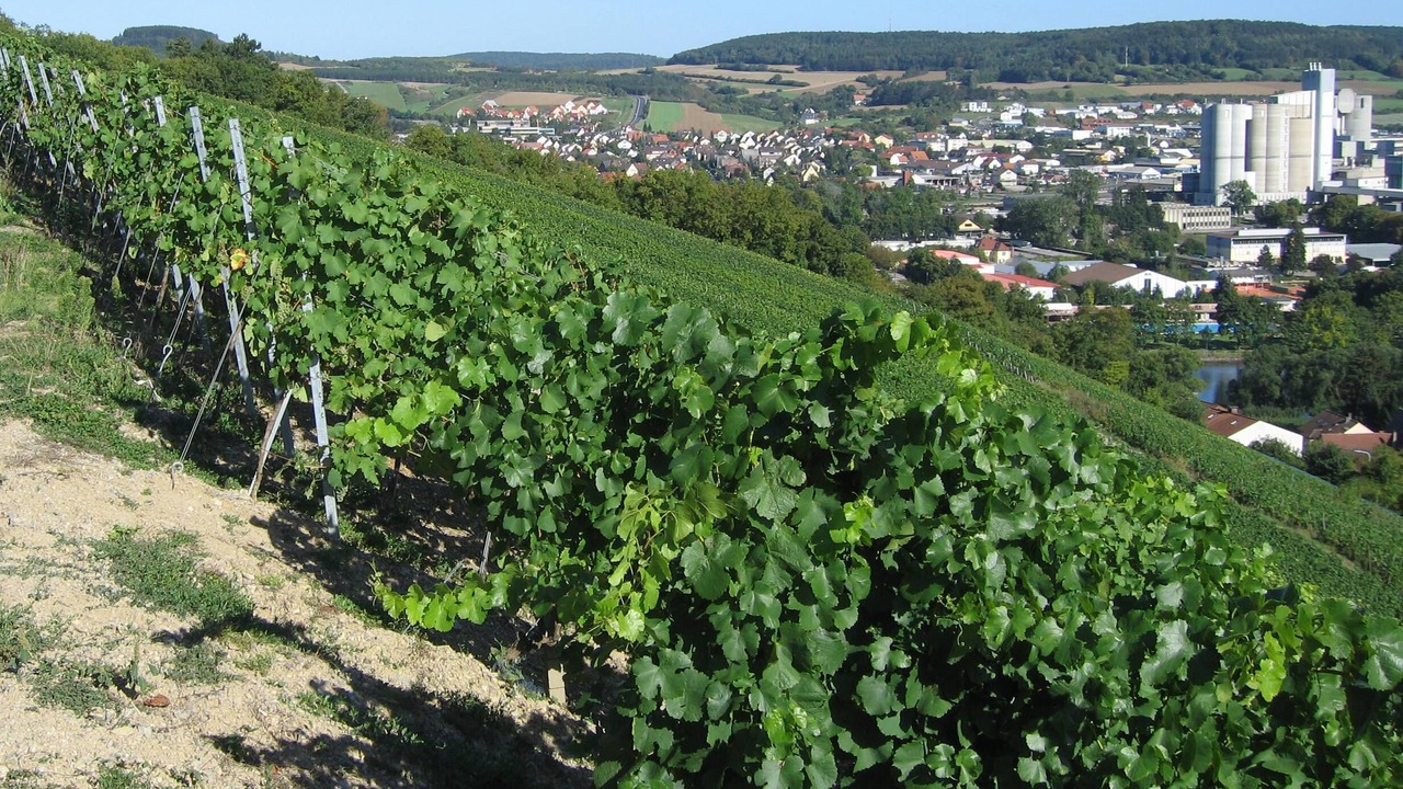 Photo of Outdoor in Muhlbach