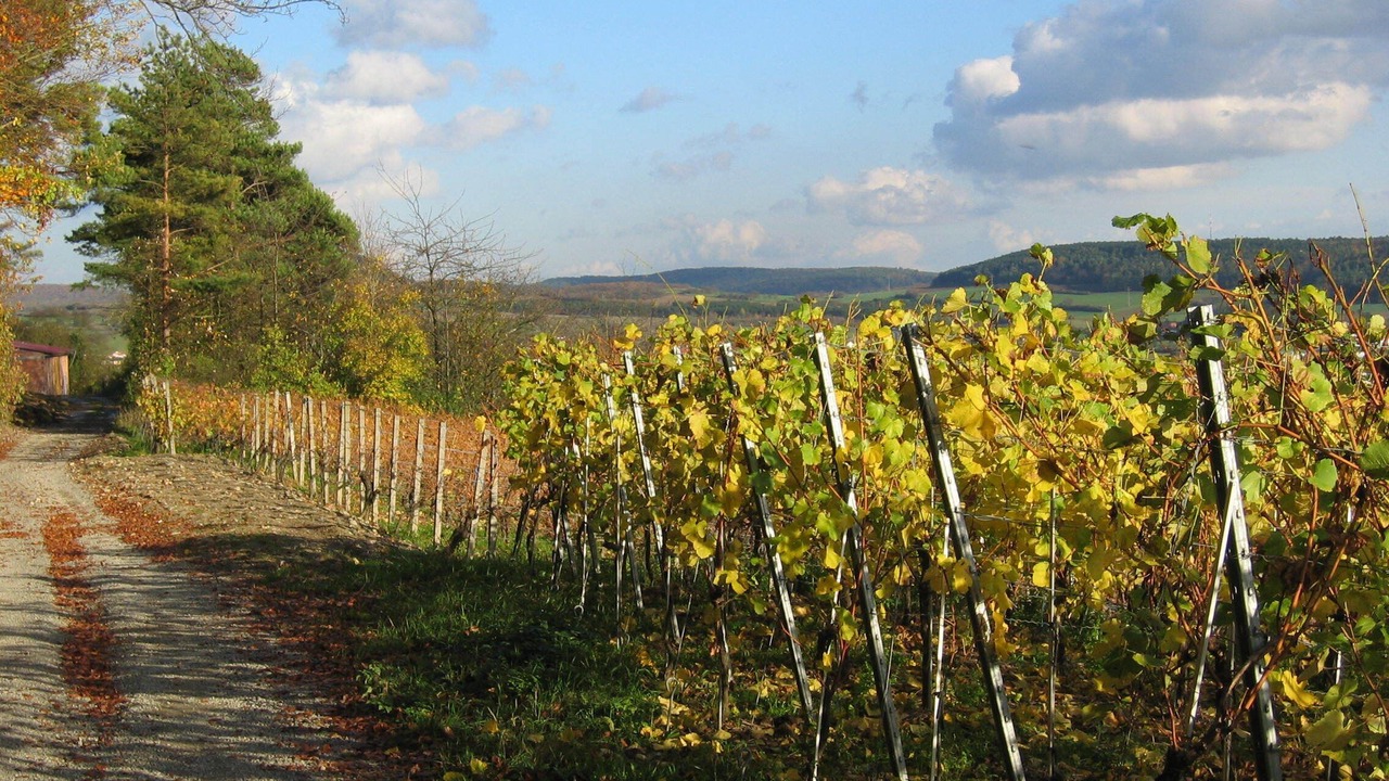 Photo of Outdoor in Muhlbach