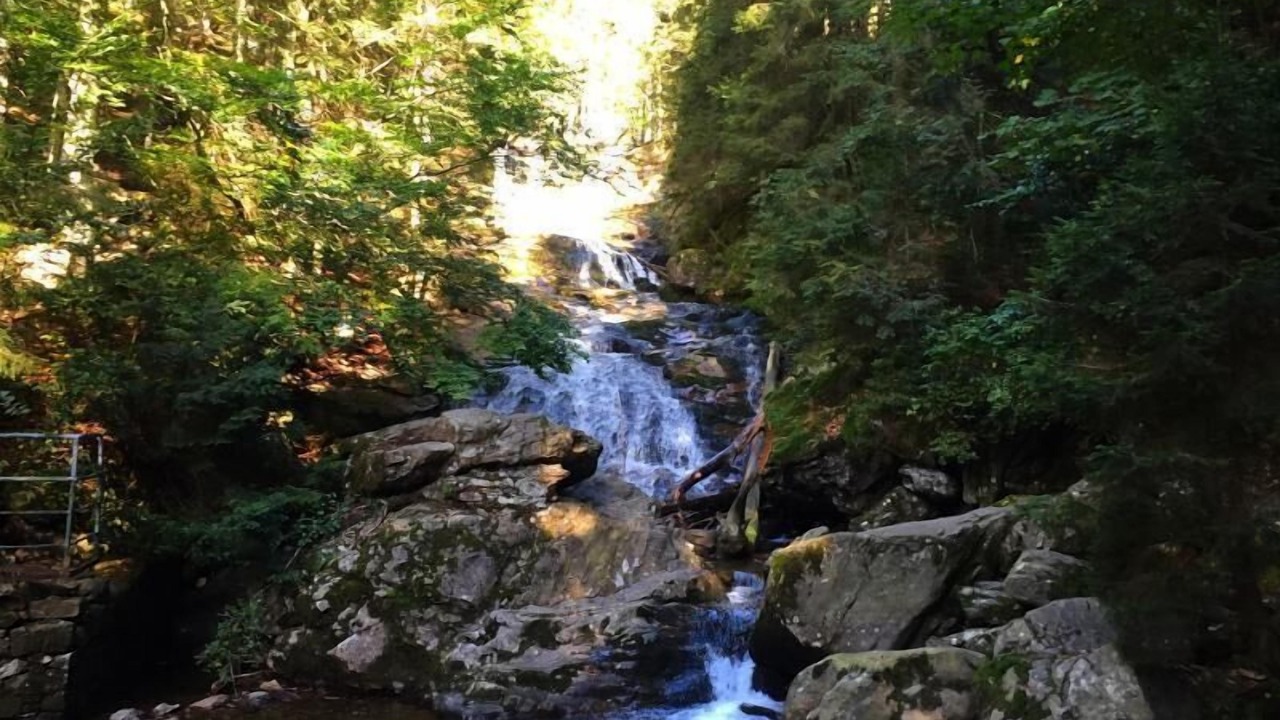 Photo of Outdoor in Bodenmais