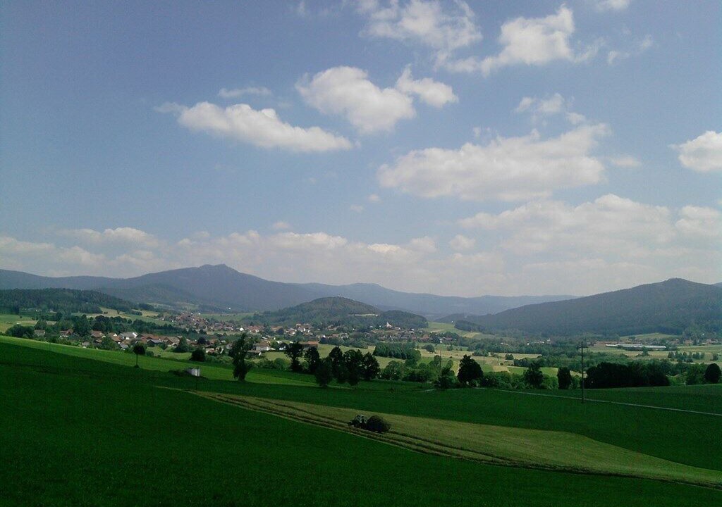 Photo of Others in Arrach