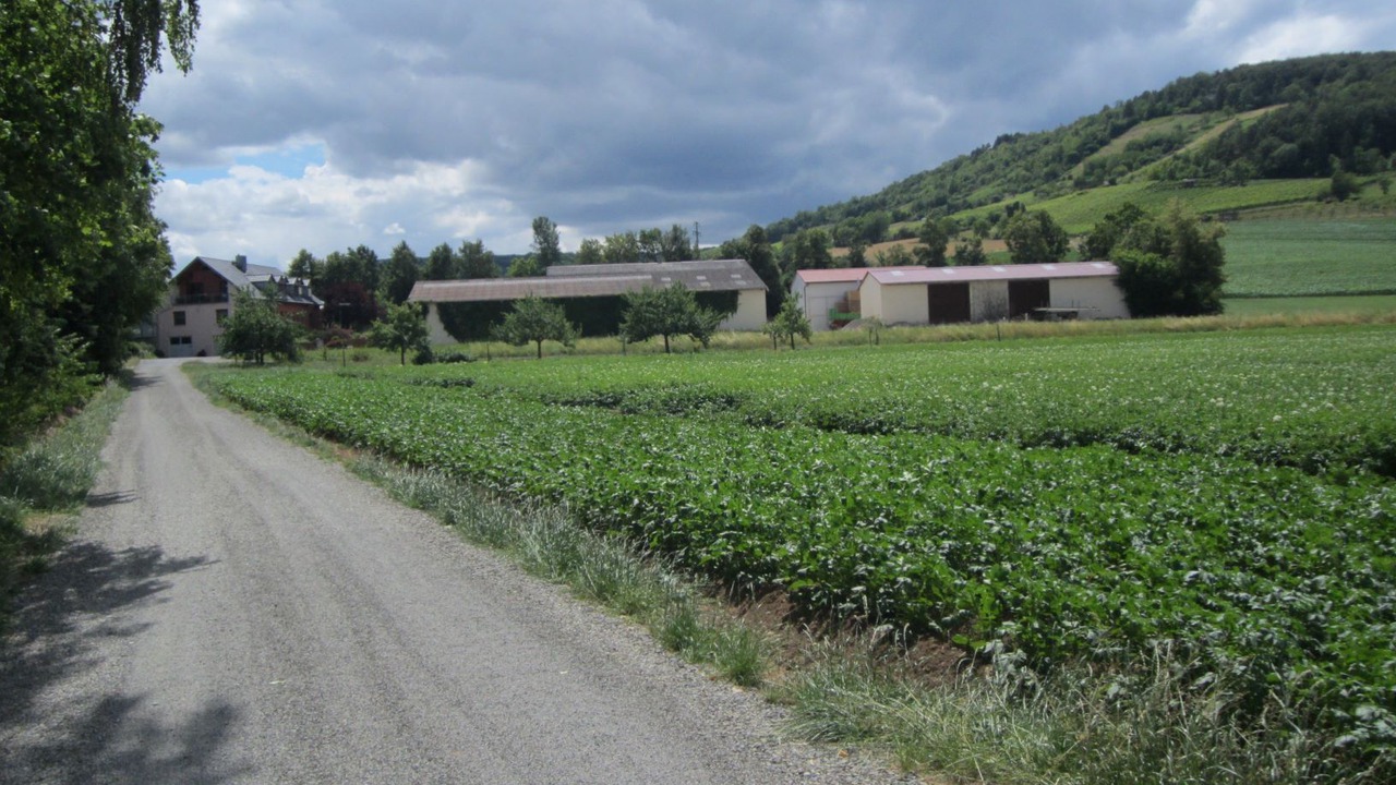 Photo of Outdoor in Karlburg