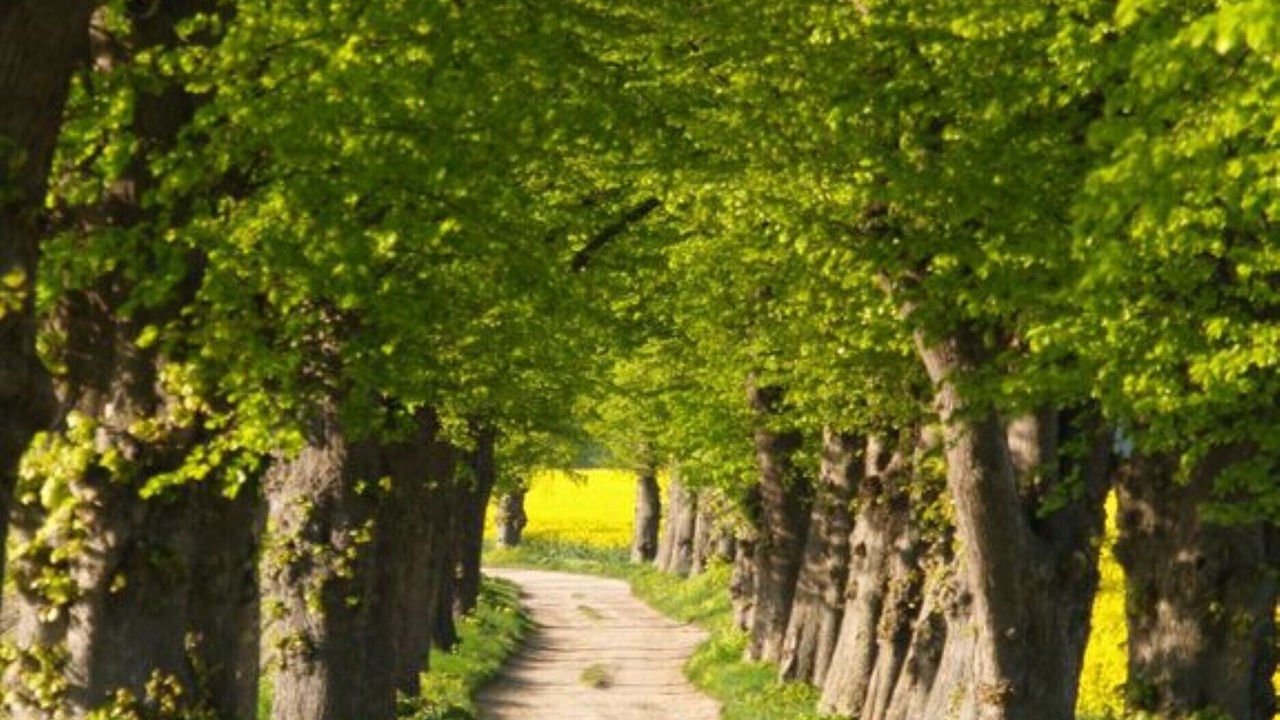 Photo of Outdoor in Boltenhagen