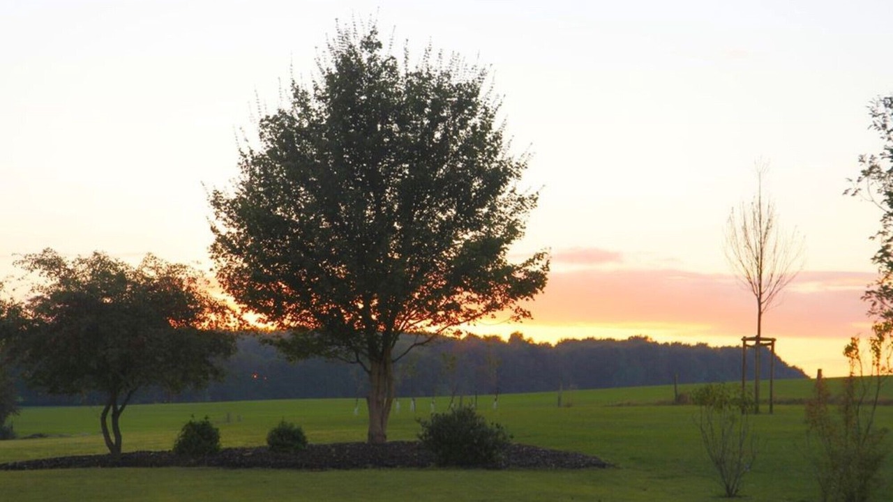 Photo of Others in Boltenhagen