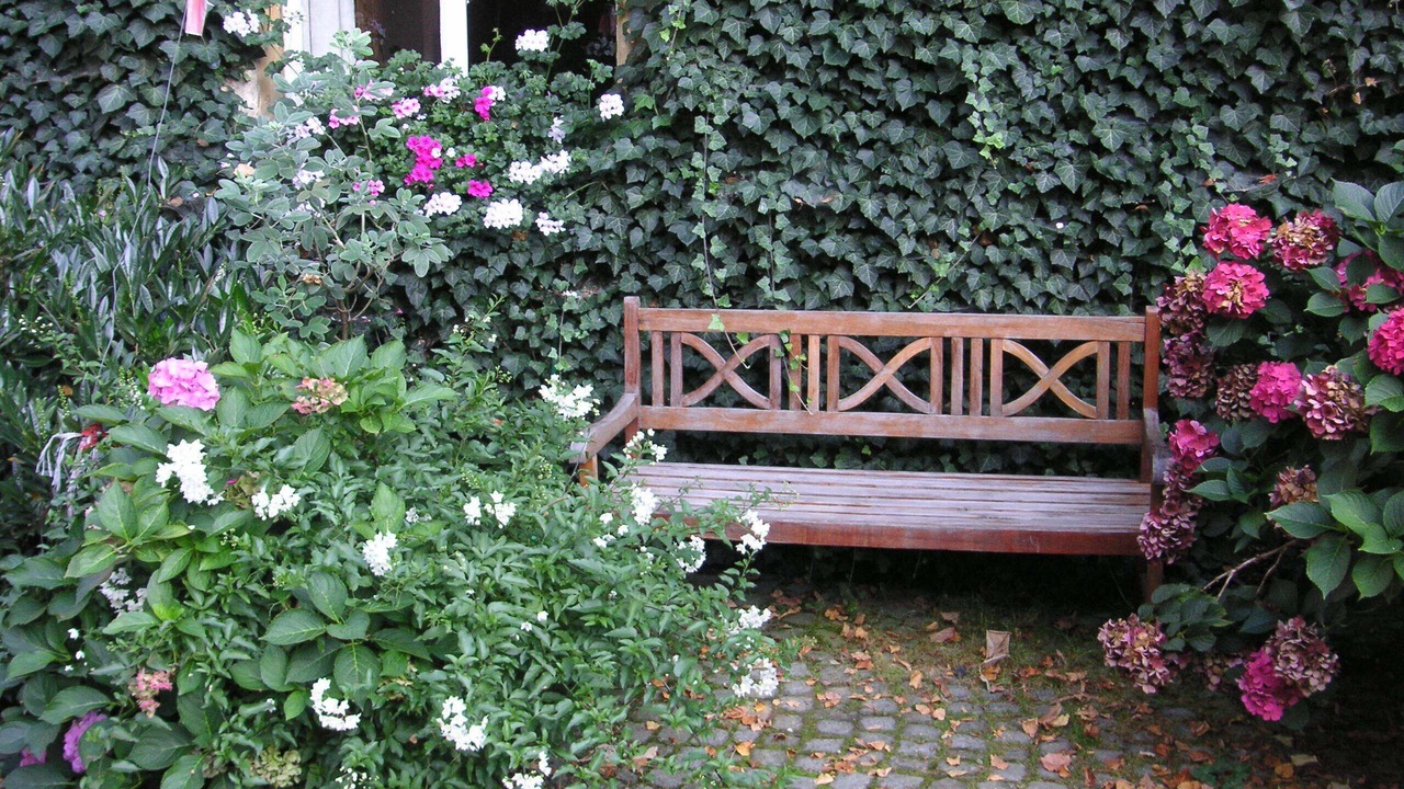 Photo of Outdoor in Leutenbach
