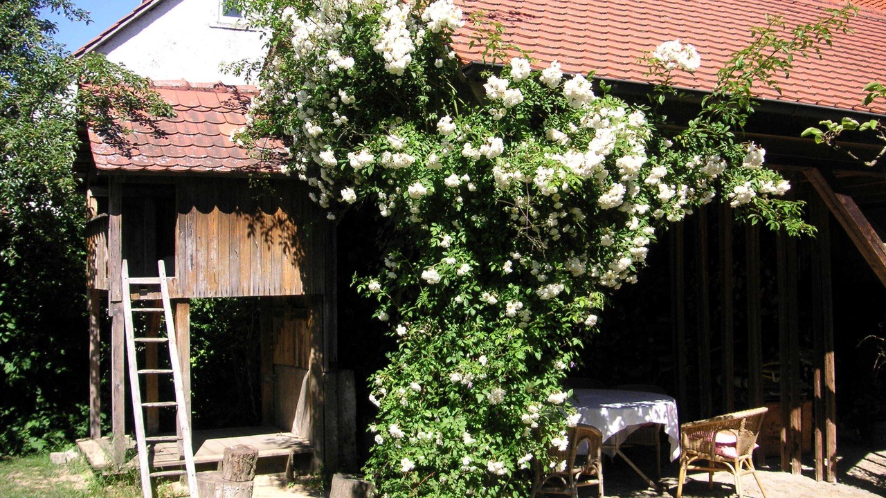 Photo of Patio Balcony in Leutenbach
