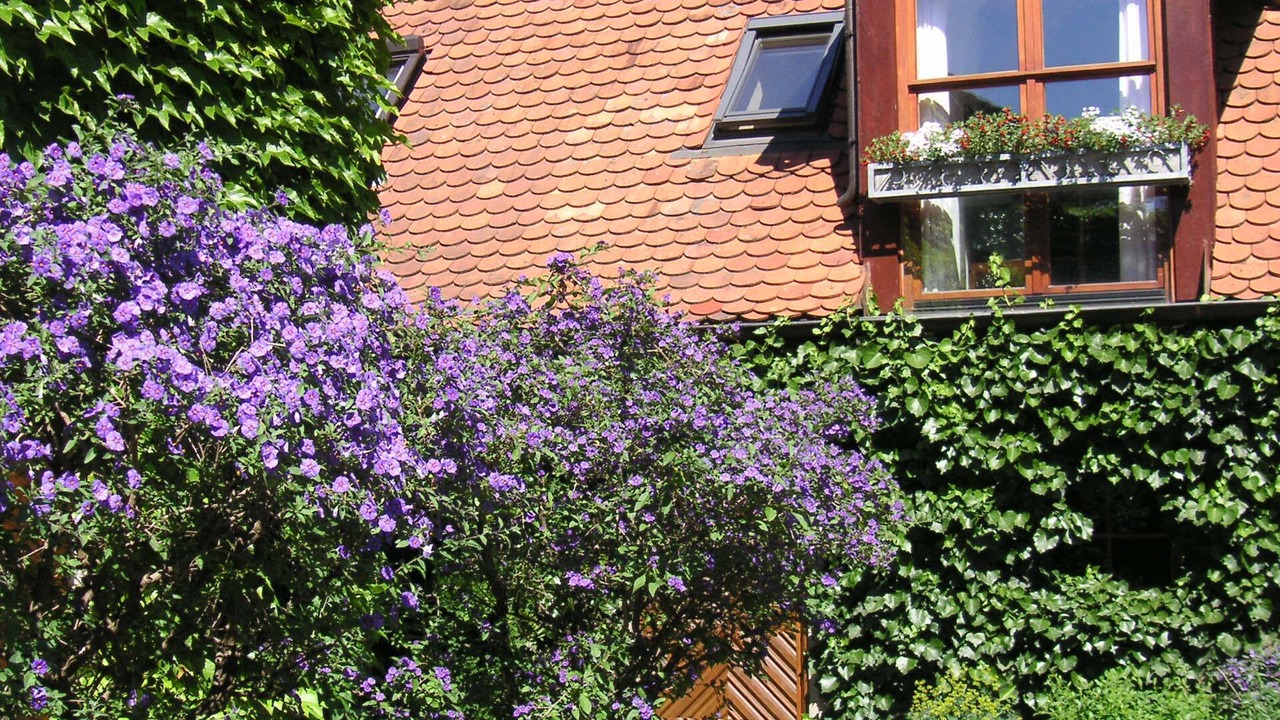 Photo of Outdoor in Leutenbach