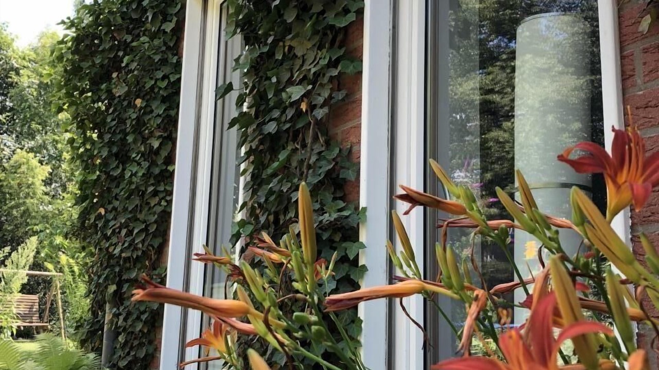 Photo of Outdoor in Osnabrueck