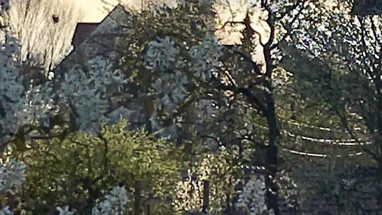 Photo of Outdoor in Unterallgau
