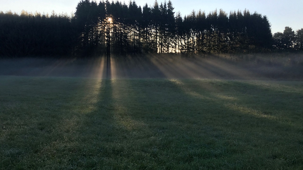 Photo of Others in Unterallgau