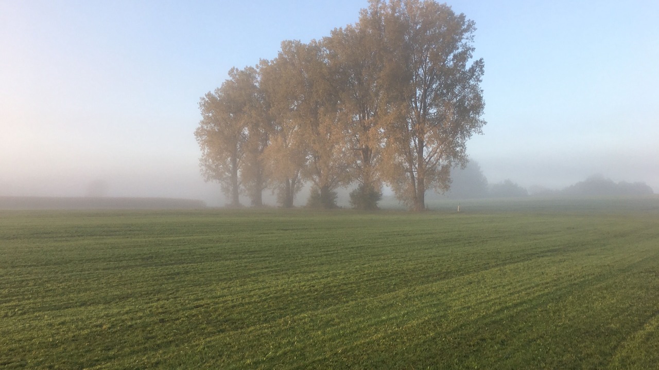 Photo of Others in Unterallgau