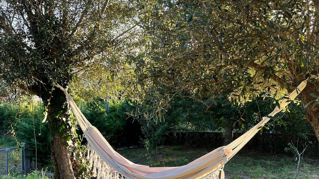 Photo of Outdoor in Vila Nova de Cerveira