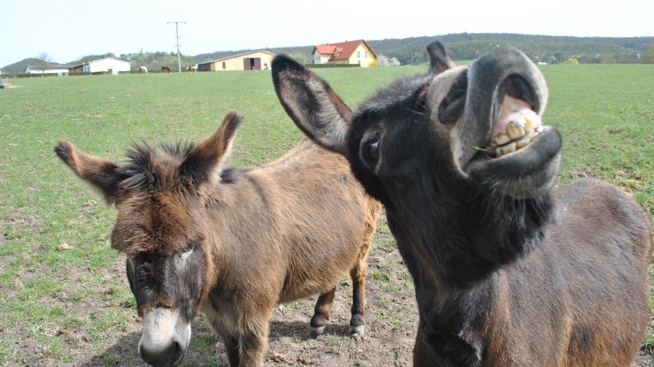 Photo of Outdoor in Hofheim in Unterfranken