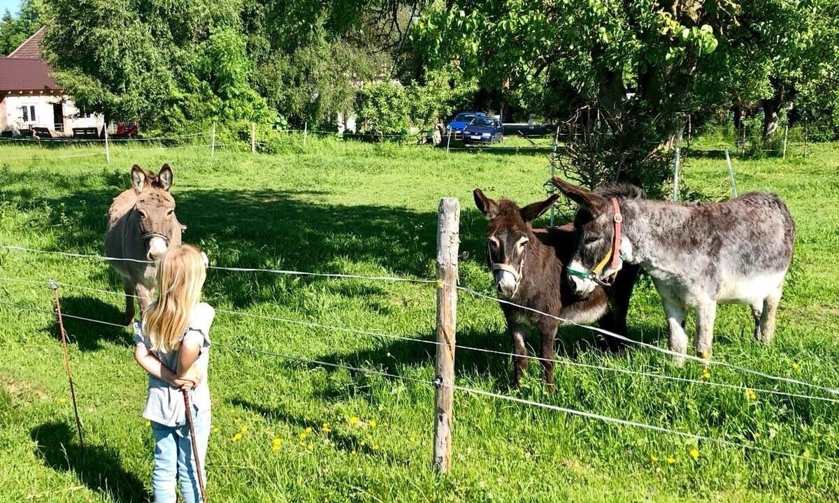 Photo of Outdoor in Bobing