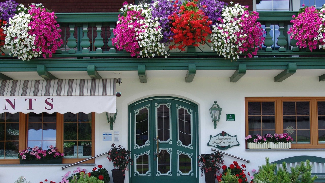 Photo of Outdoor in Graen