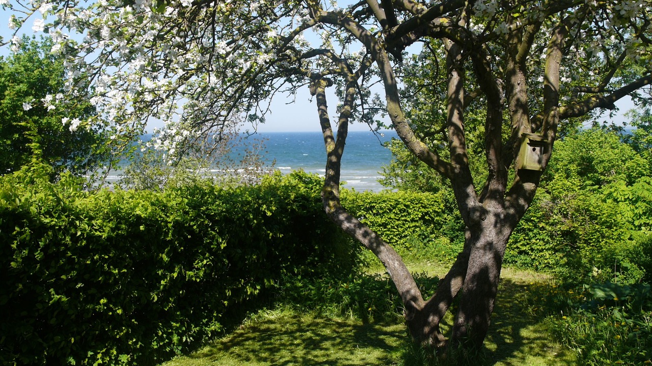 Photo of Outdoor in Wohlenberg