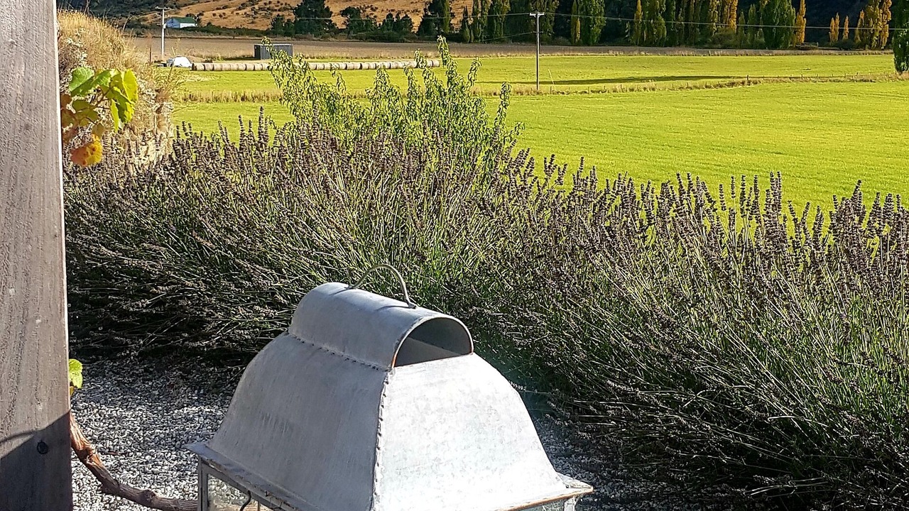Photo of Outdoor in Gibbston
