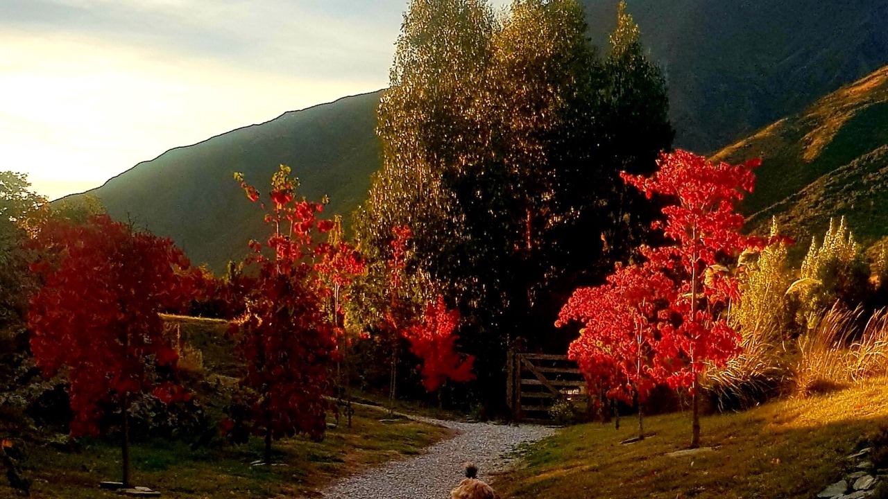 Photo of Outdoor in Gibbston