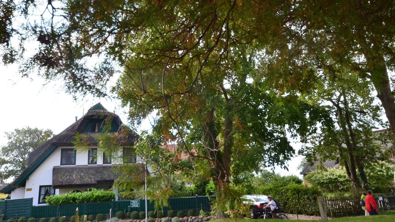 Photo of Outdoor in Gross Zicker