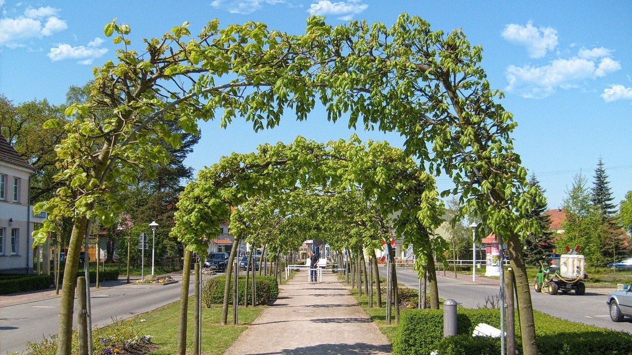 Photo of Outdoor in Ostseebad Baabe
