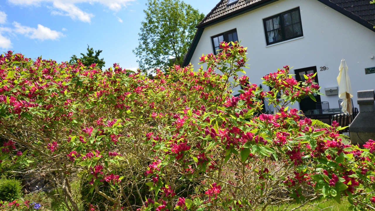 Photo of Outdoor in Gross Zicker